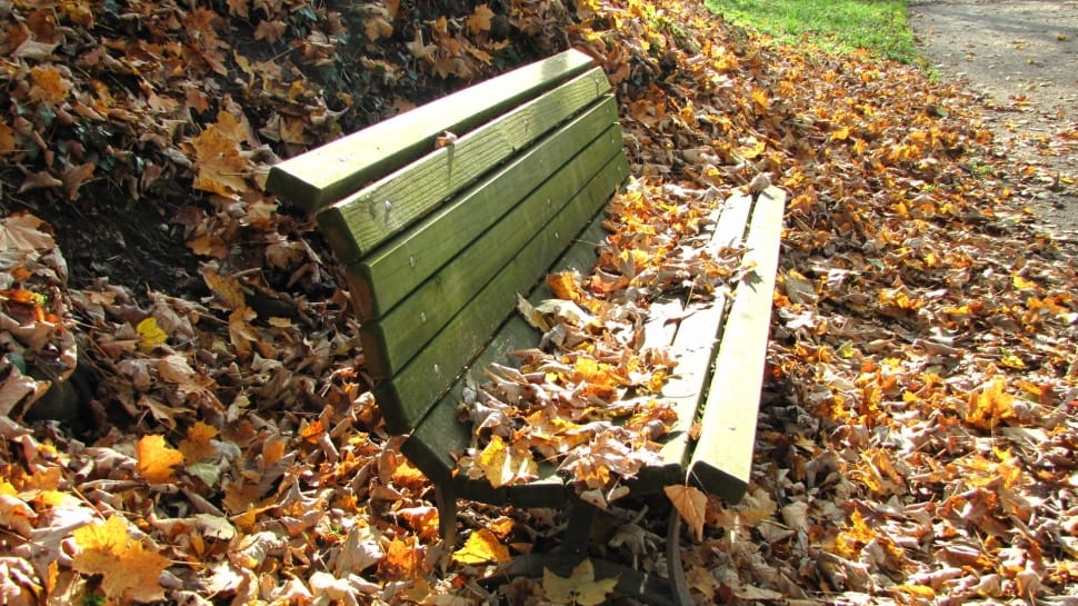 brown wooden bench seat preview