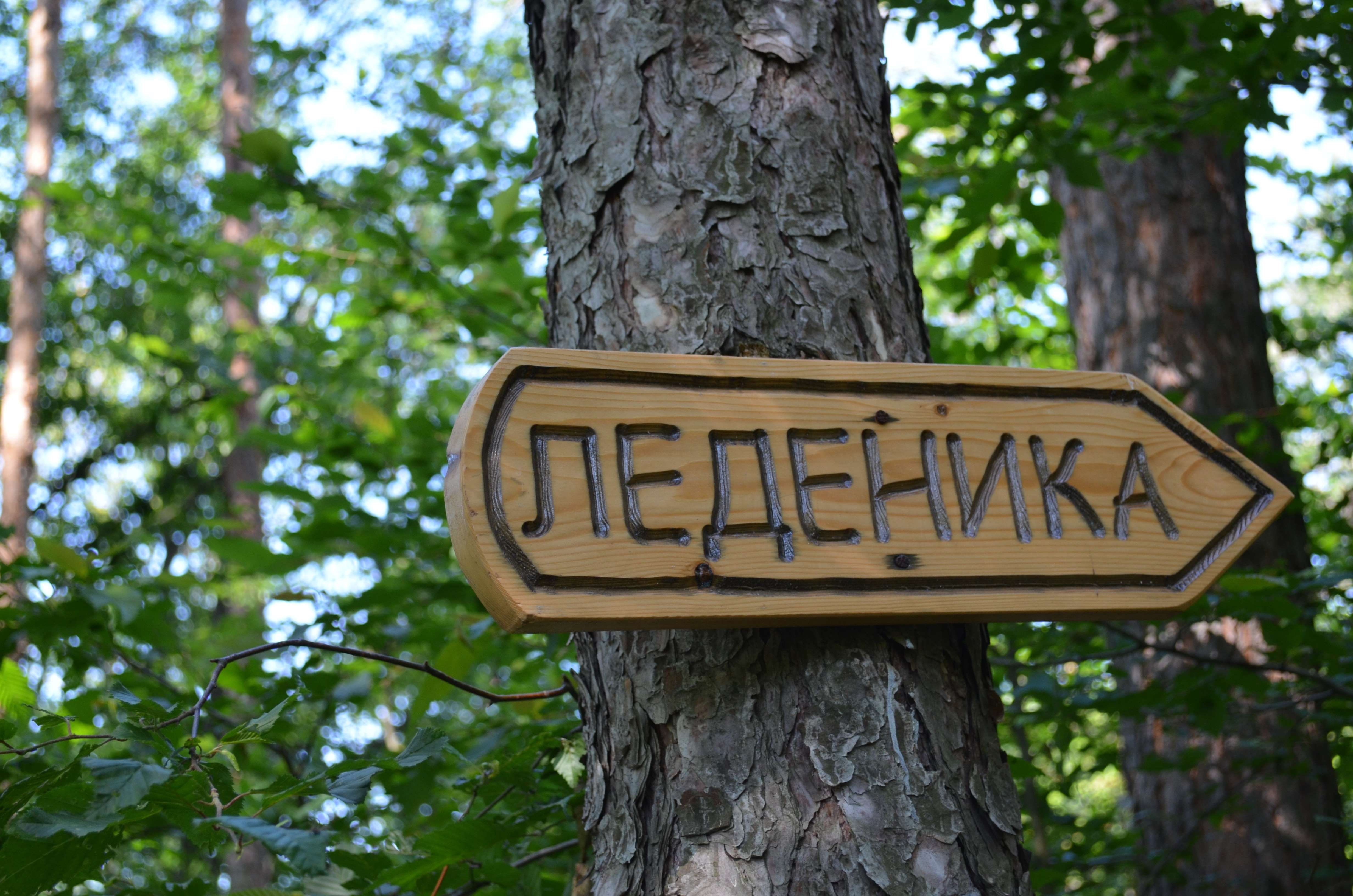 neaehnka signage