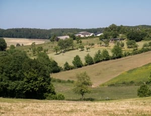 photo of green hills and trees thumbnail