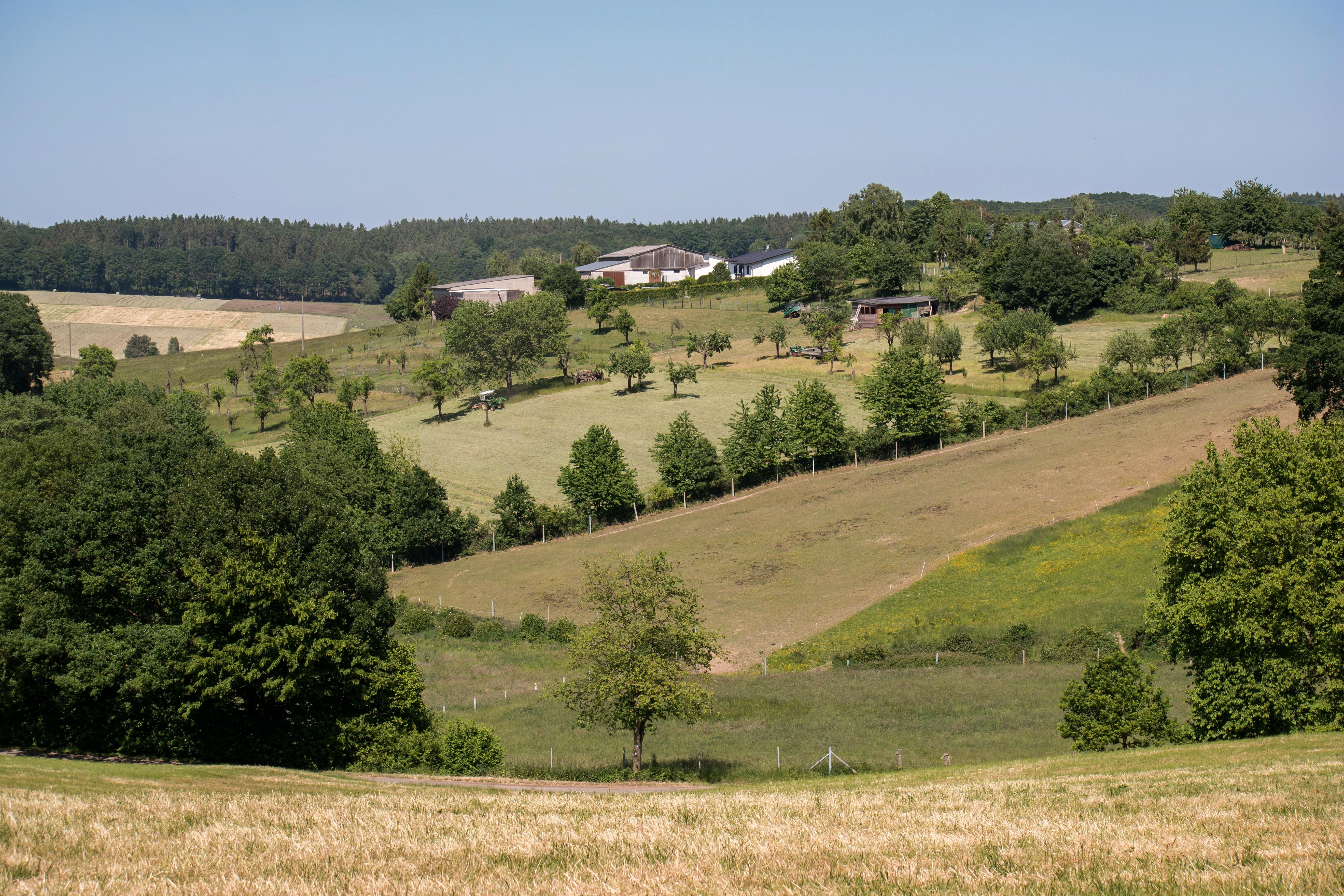 photo of green hills and trees