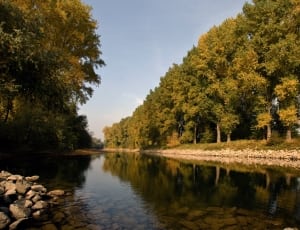 river between green trees during daytime thumbnail