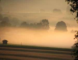 green field with fog thumbnail