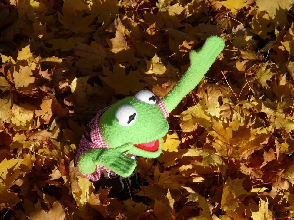 hermit the frog plush toy preview