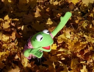 hermit the frog plush toy thumbnail