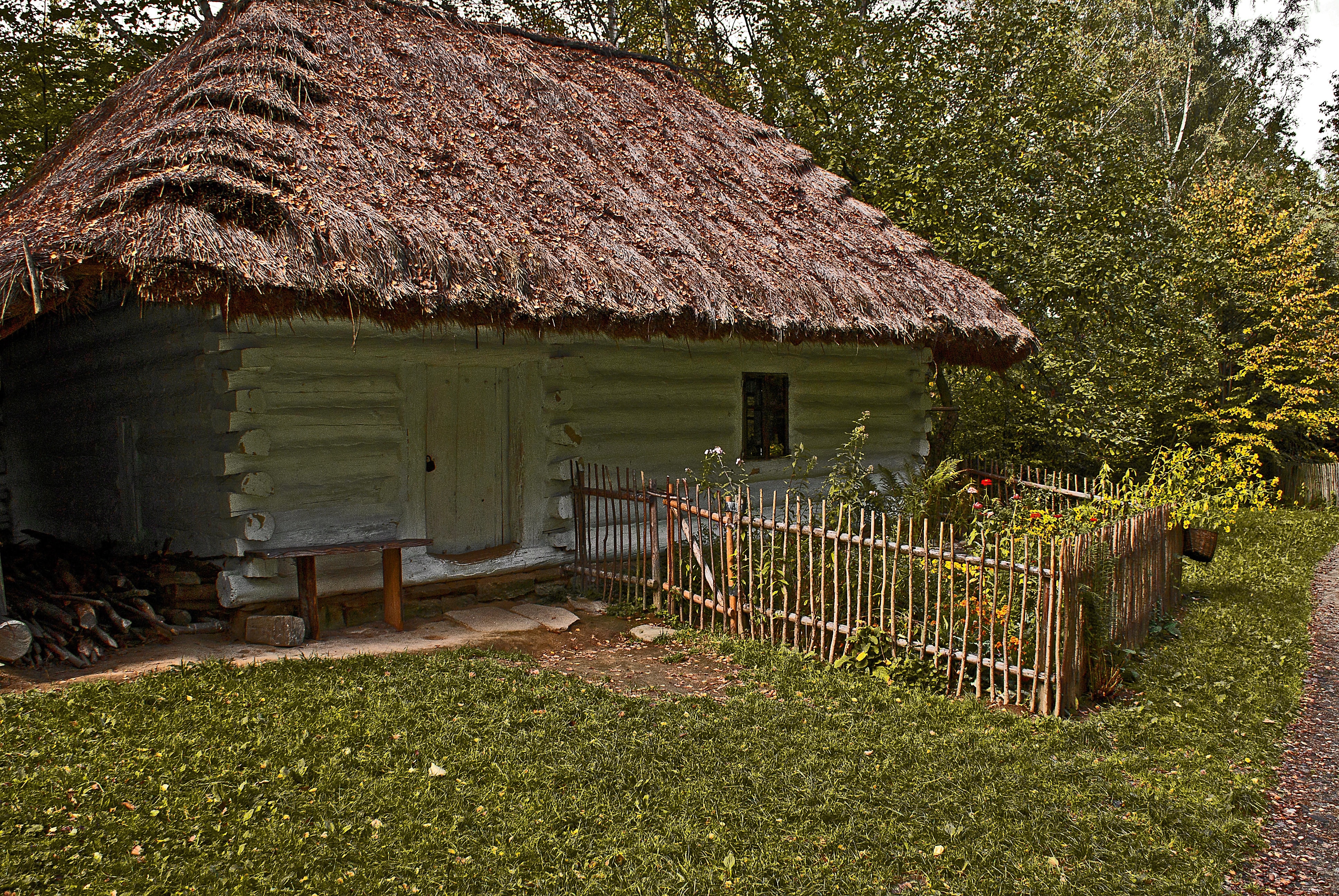 brown hut house