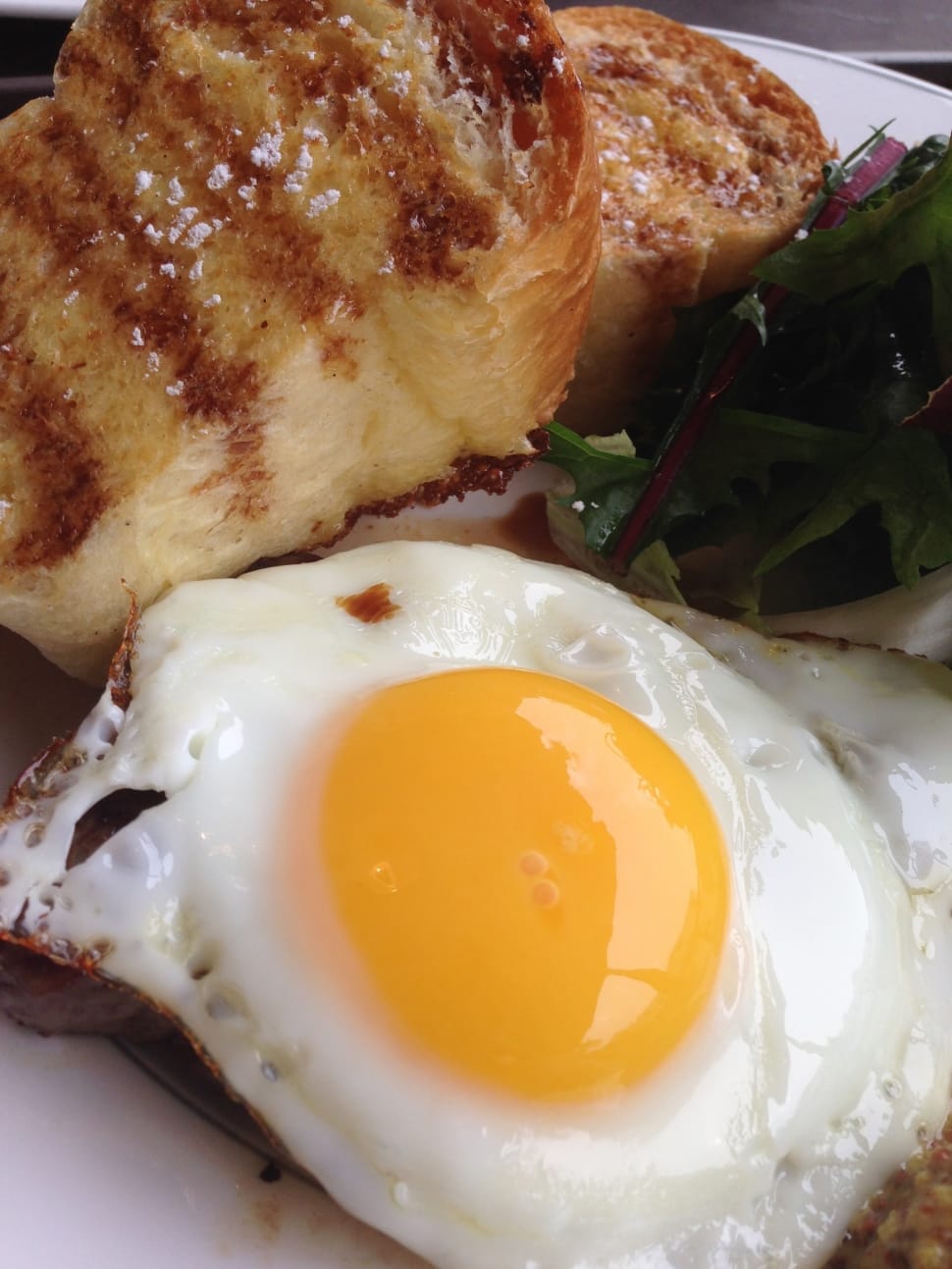 sunny side up egg and bread preview