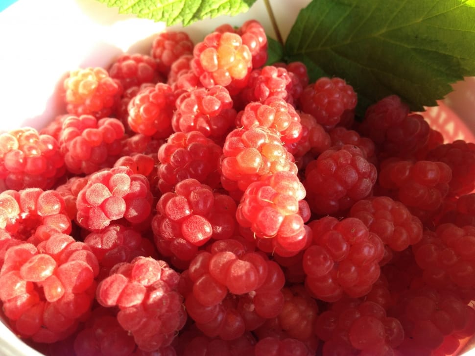 red raspberries preview