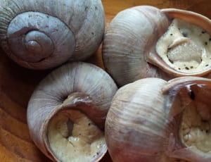 four brown snails on top brown wooden table thumbnail