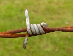 gray metal barbed wire thumbnail