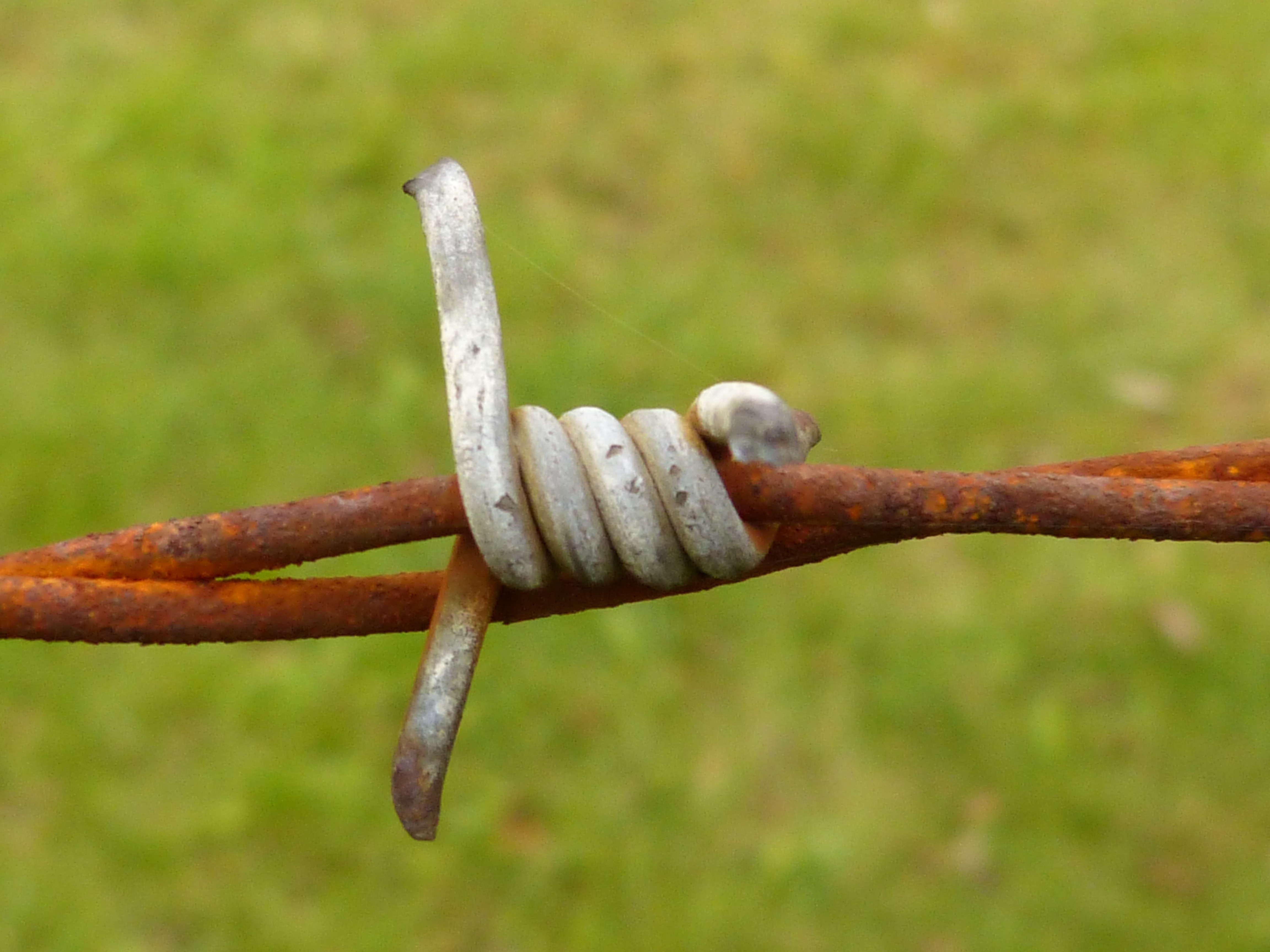 gray metal barbed wire