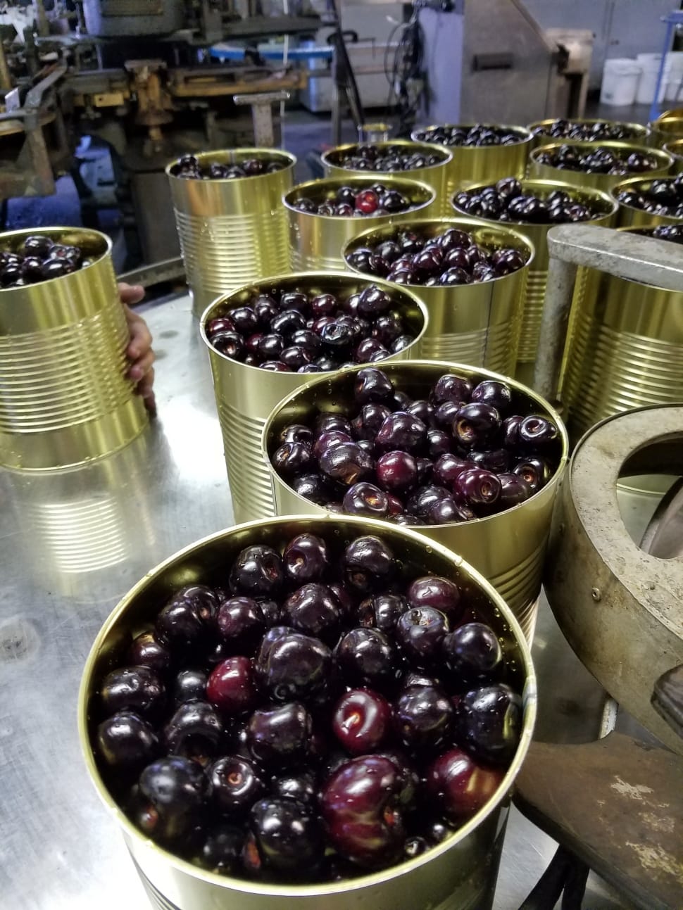 cans of black berries preview