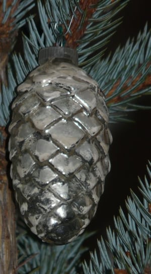 grey oval fruit decorative thumbnail