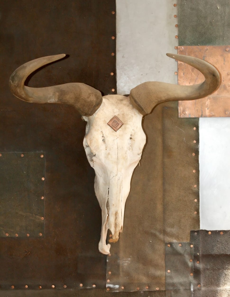 white and brown animal head with horn wall decor preview