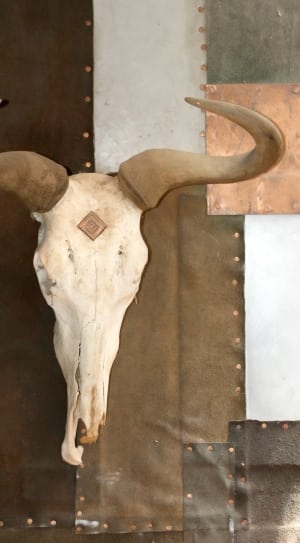 white and brown animal head with horn wall decor thumbnail