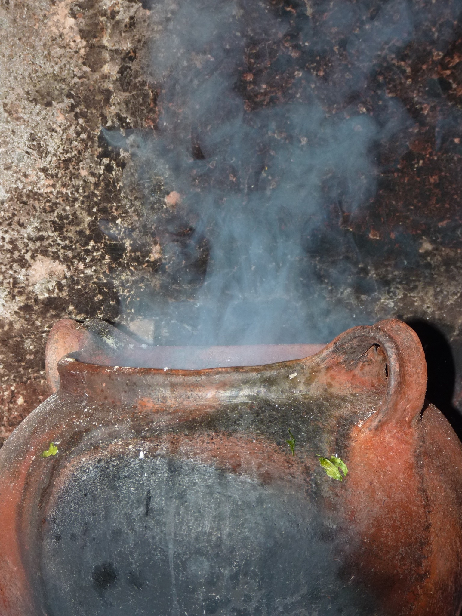 brown ceramic pot