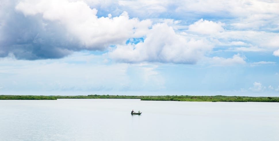 boat in the body of water near trees under the cumulus cloud preview