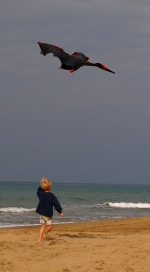 black and orange kite thumbnail