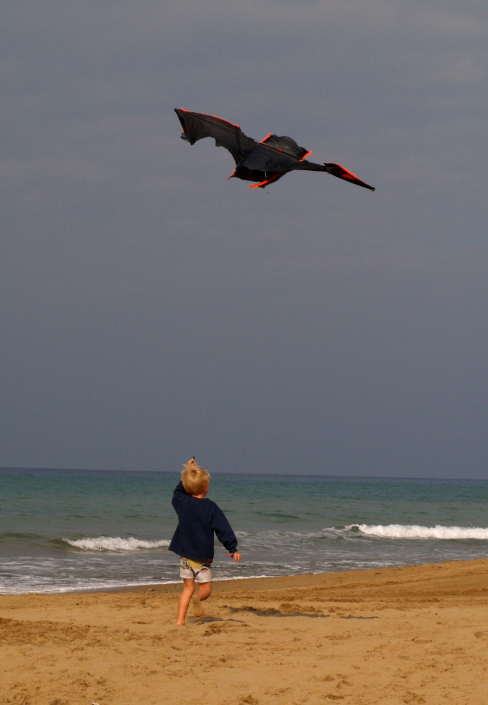 black and orange kite