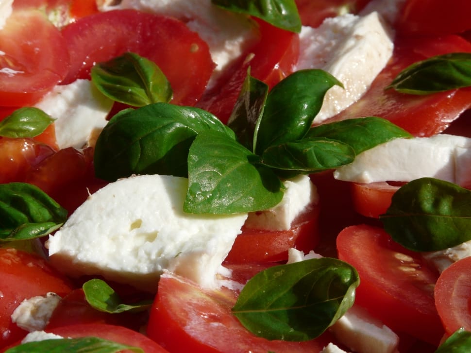 tofu with tomatoes and green leaf preview