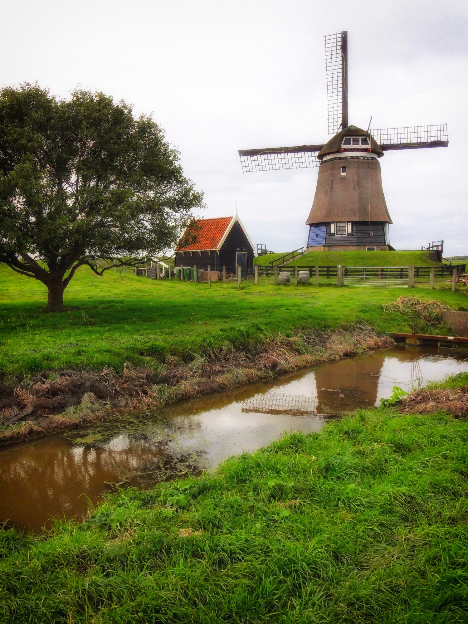 windmill on green field