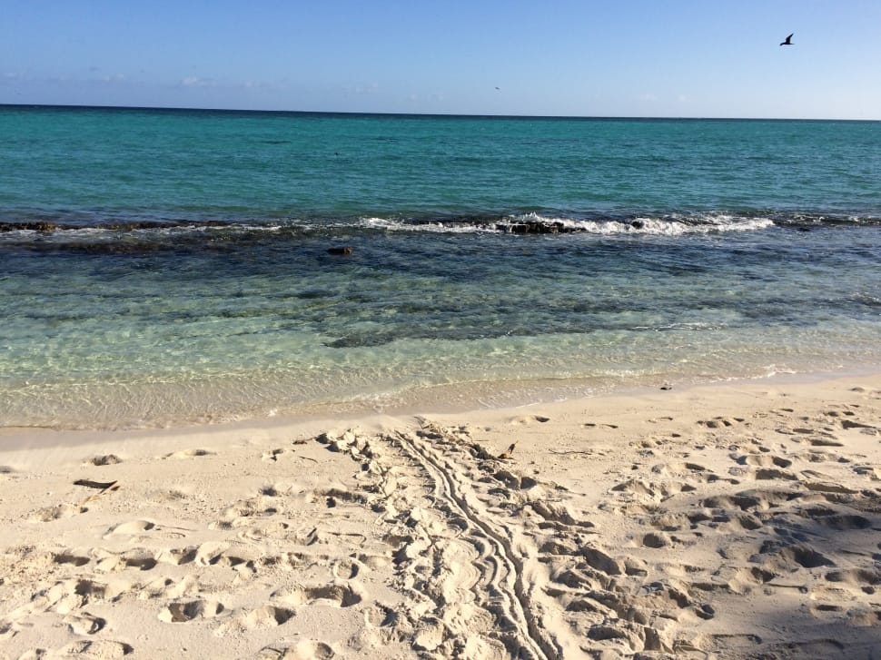 grey sand on the beach photo preview
