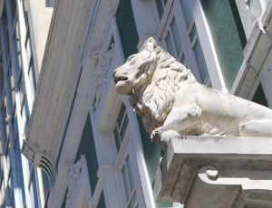white concrete lion statuette thumbnail