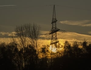 silhouette photo of wither tree and electric cable tower thumbnail