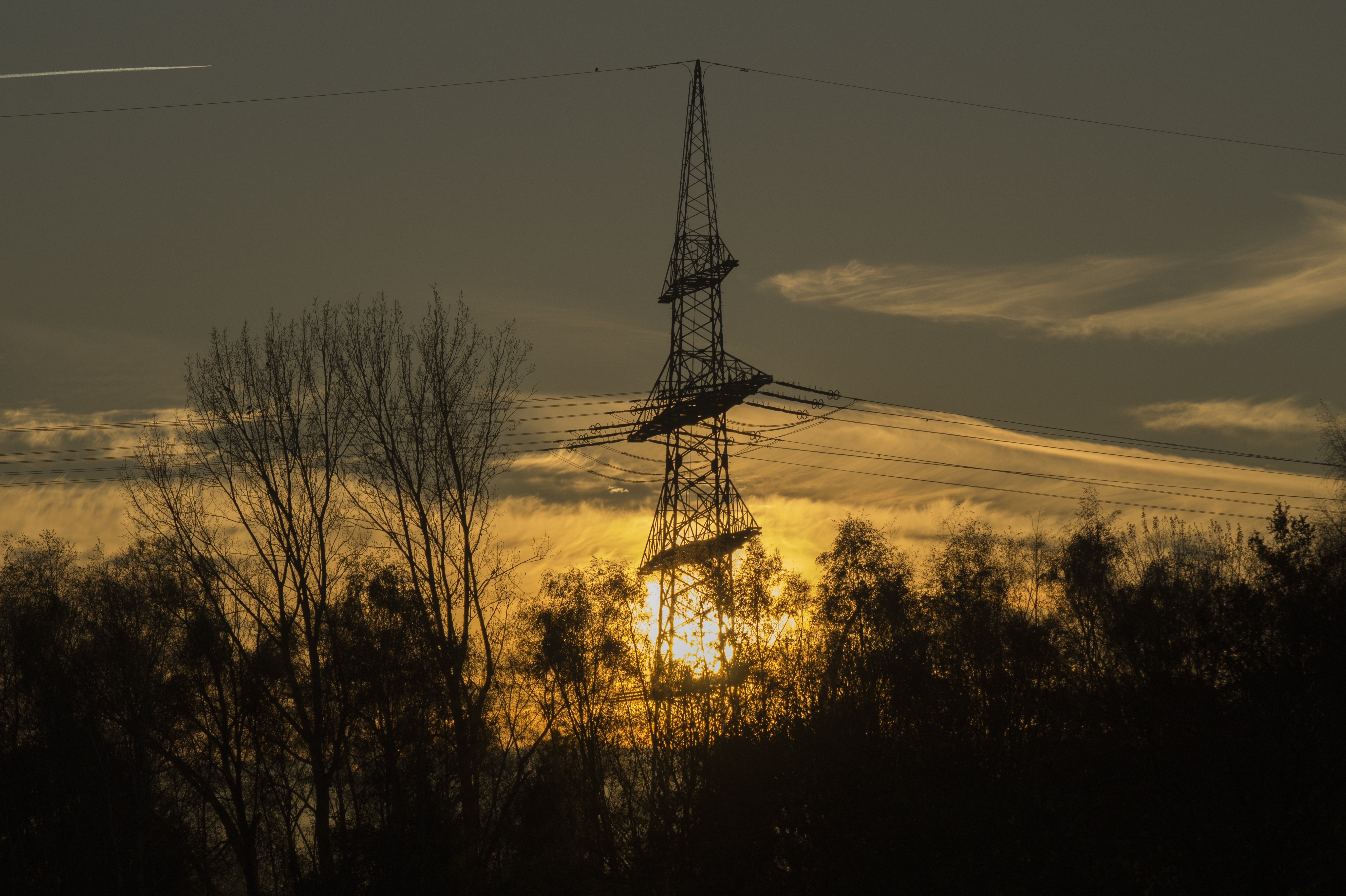 silhouette photo of wither tree and electric cable tower