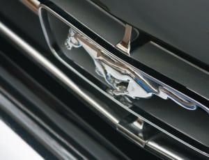 Ford Mustang emblem thumbnail