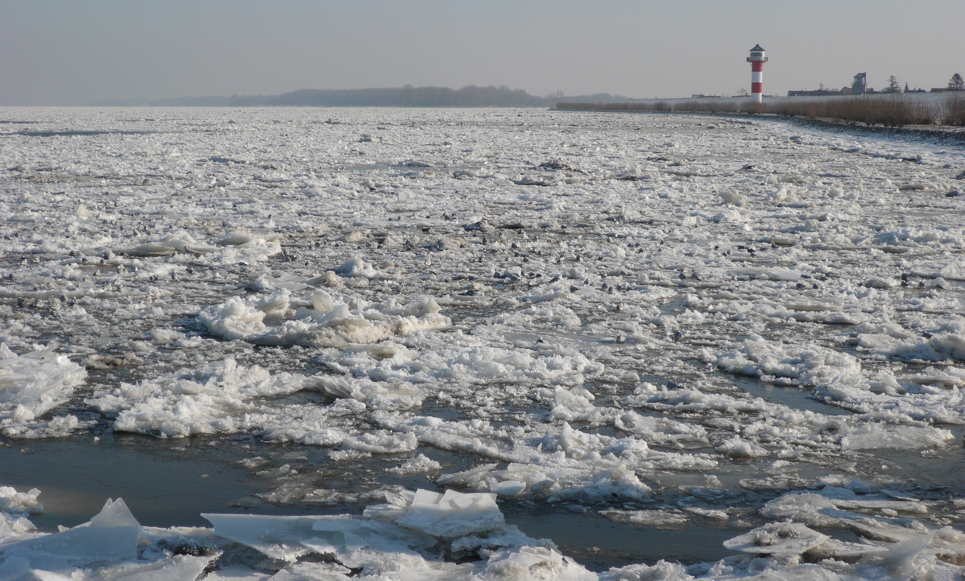 ice covered sea