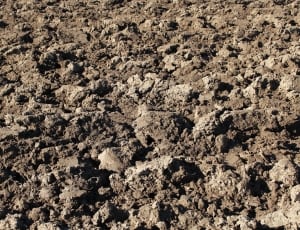 gray soil thumbnail