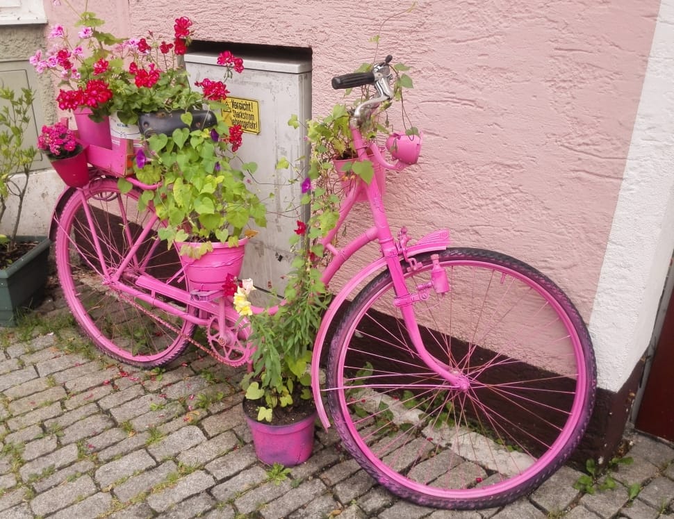 pink cruiser bicycle with plant preview