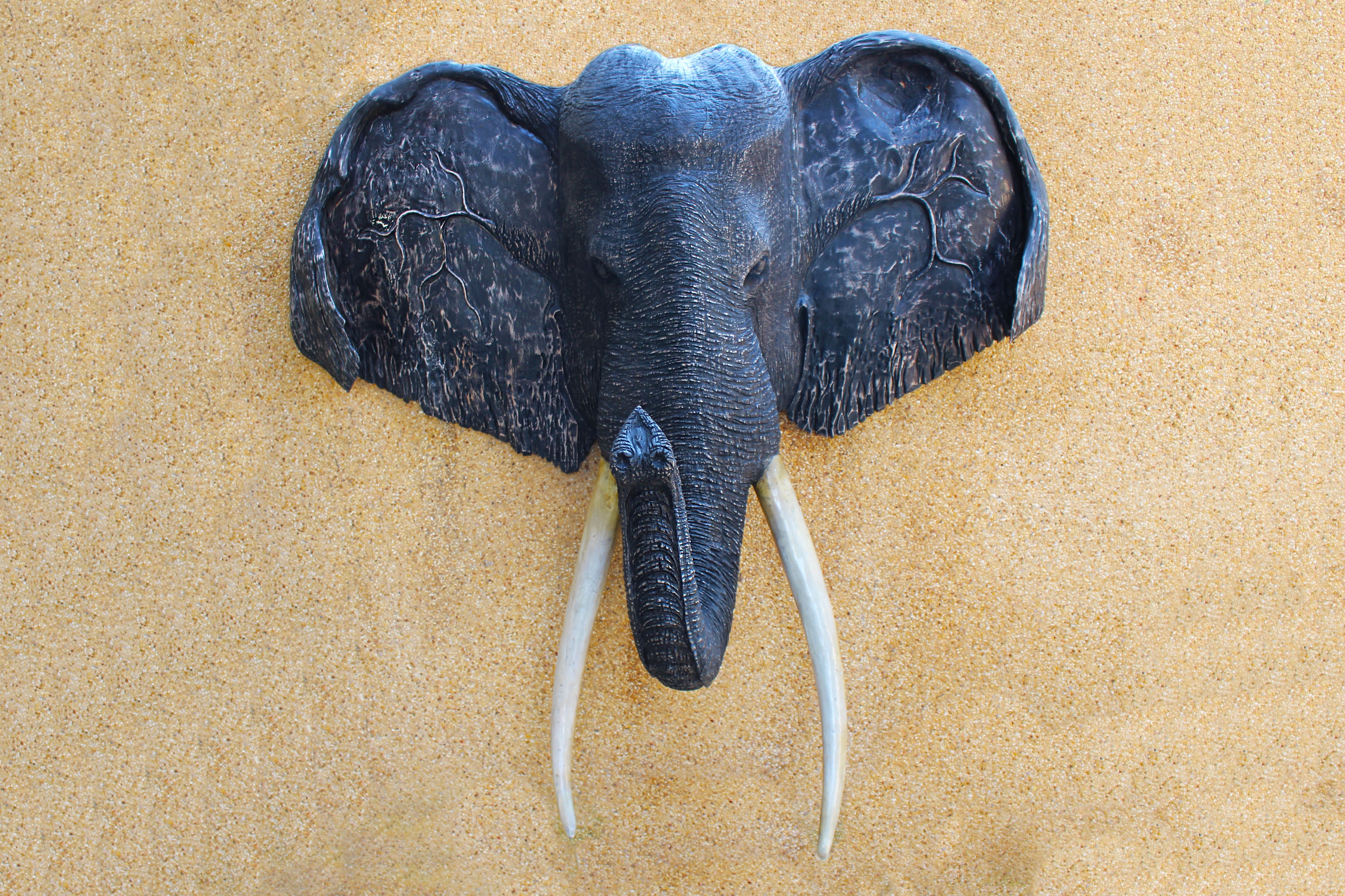 grey elephant head bust