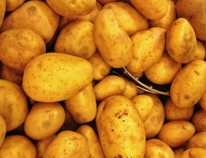 potatoes lot thumbnail