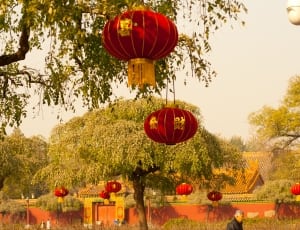 red and brown chinese ball lanterns thumbnail