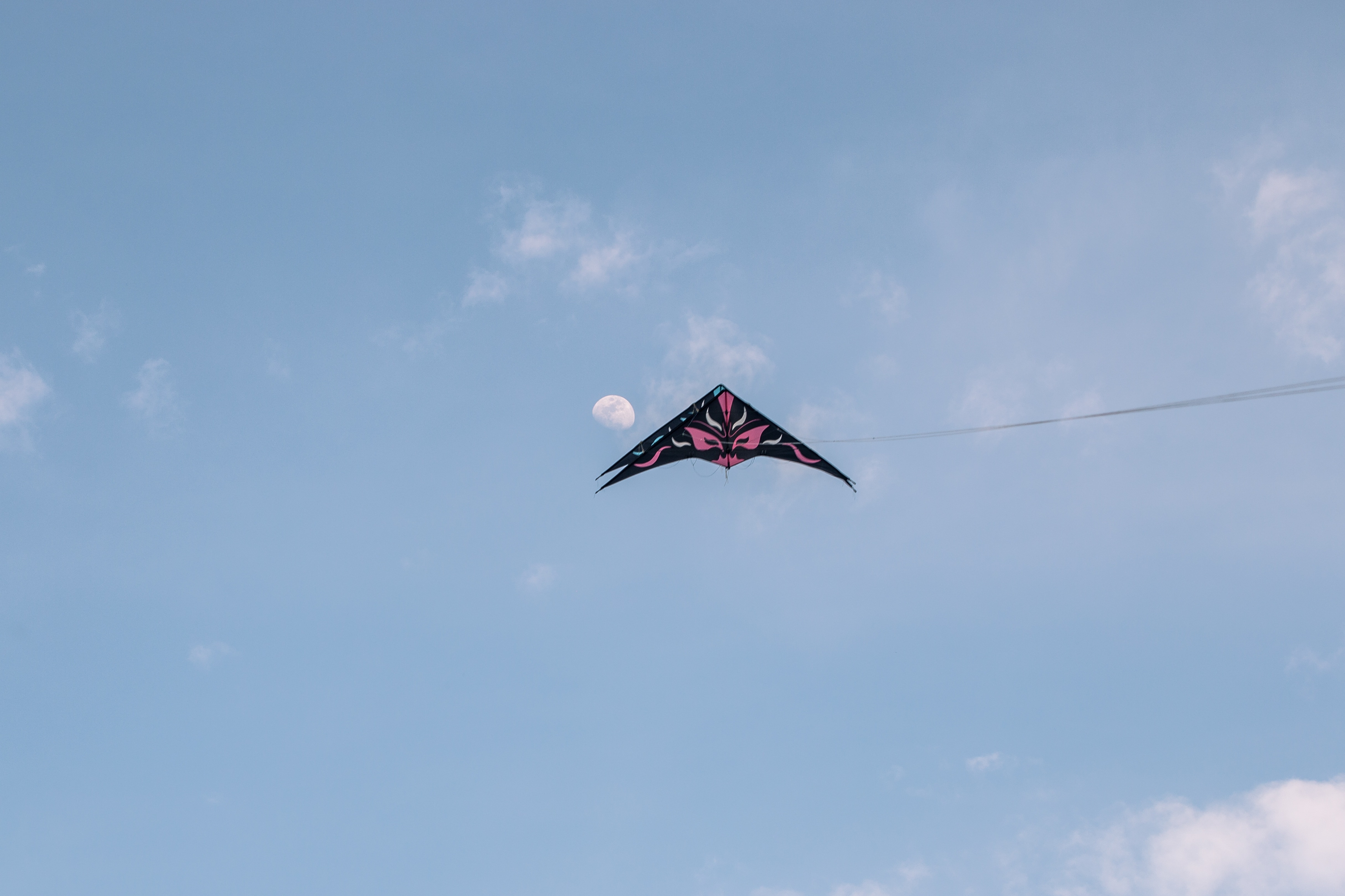 black and pink kite