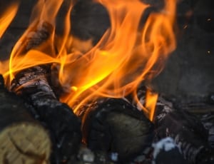 brown firewood with orange flames thumbnail