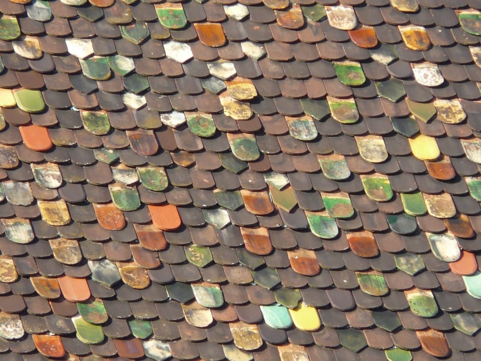 brown green and white roofing preview