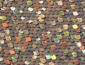 brown green and white roofing thumbnail