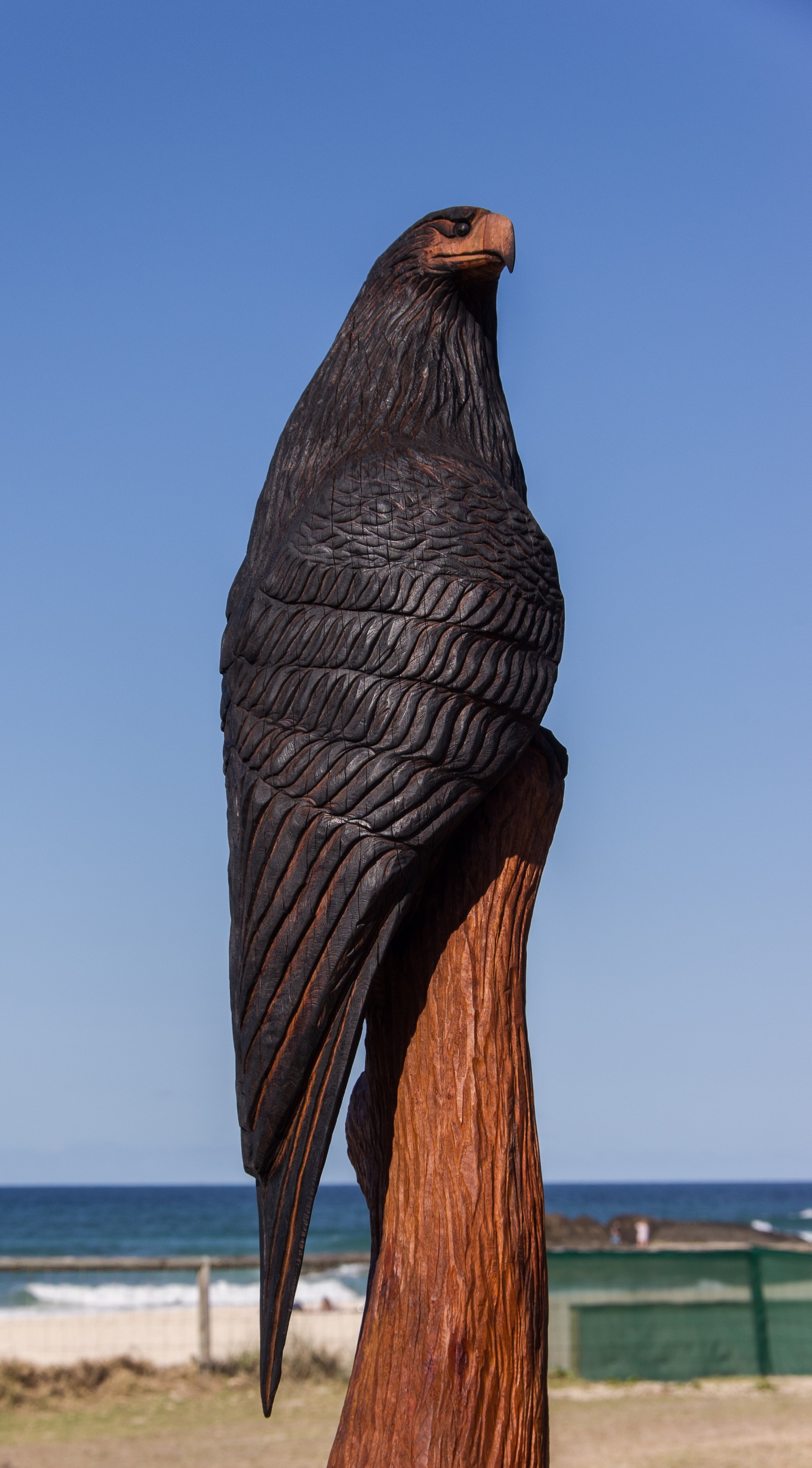 Bird, Raptor, Carving, Wood, Chainsaw, one animal, bird