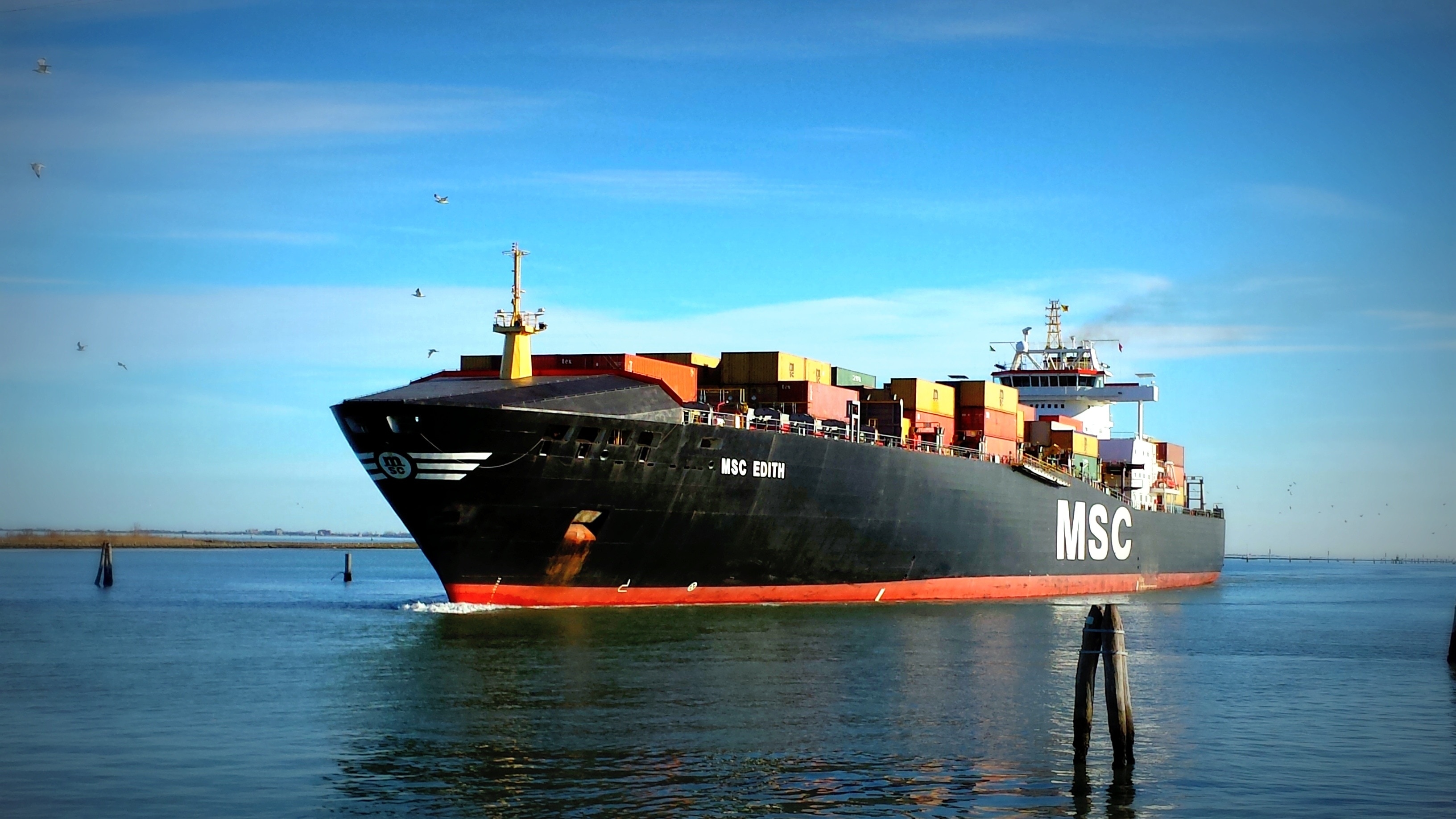 black red msc ship