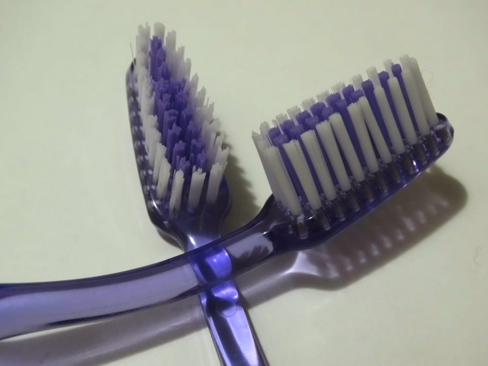 two purple toothbrushes preview