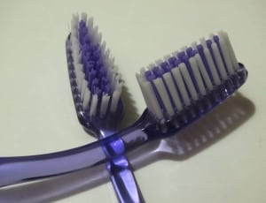 two purple toothbrushes thumbnail