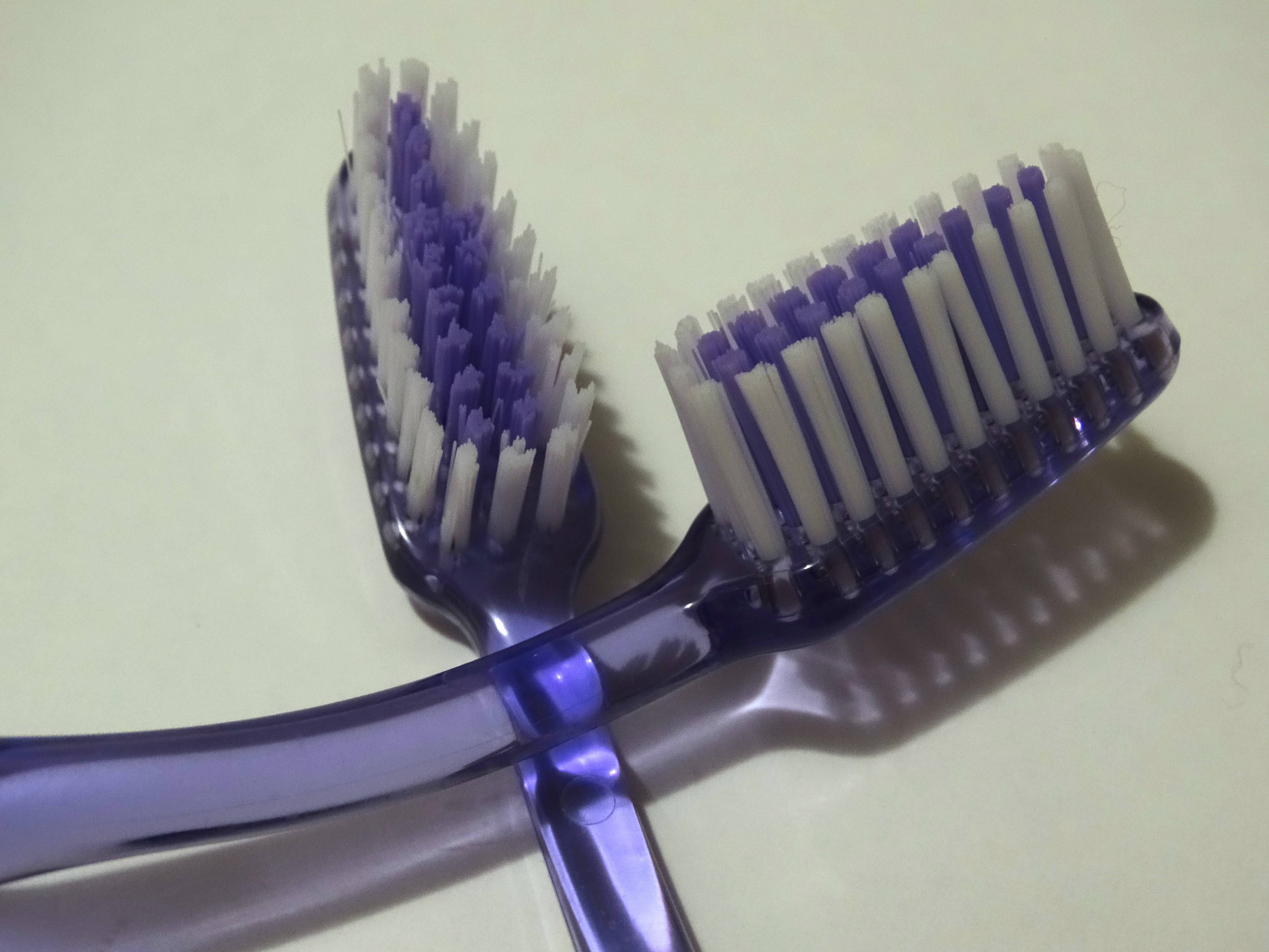 two purple toothbrushes