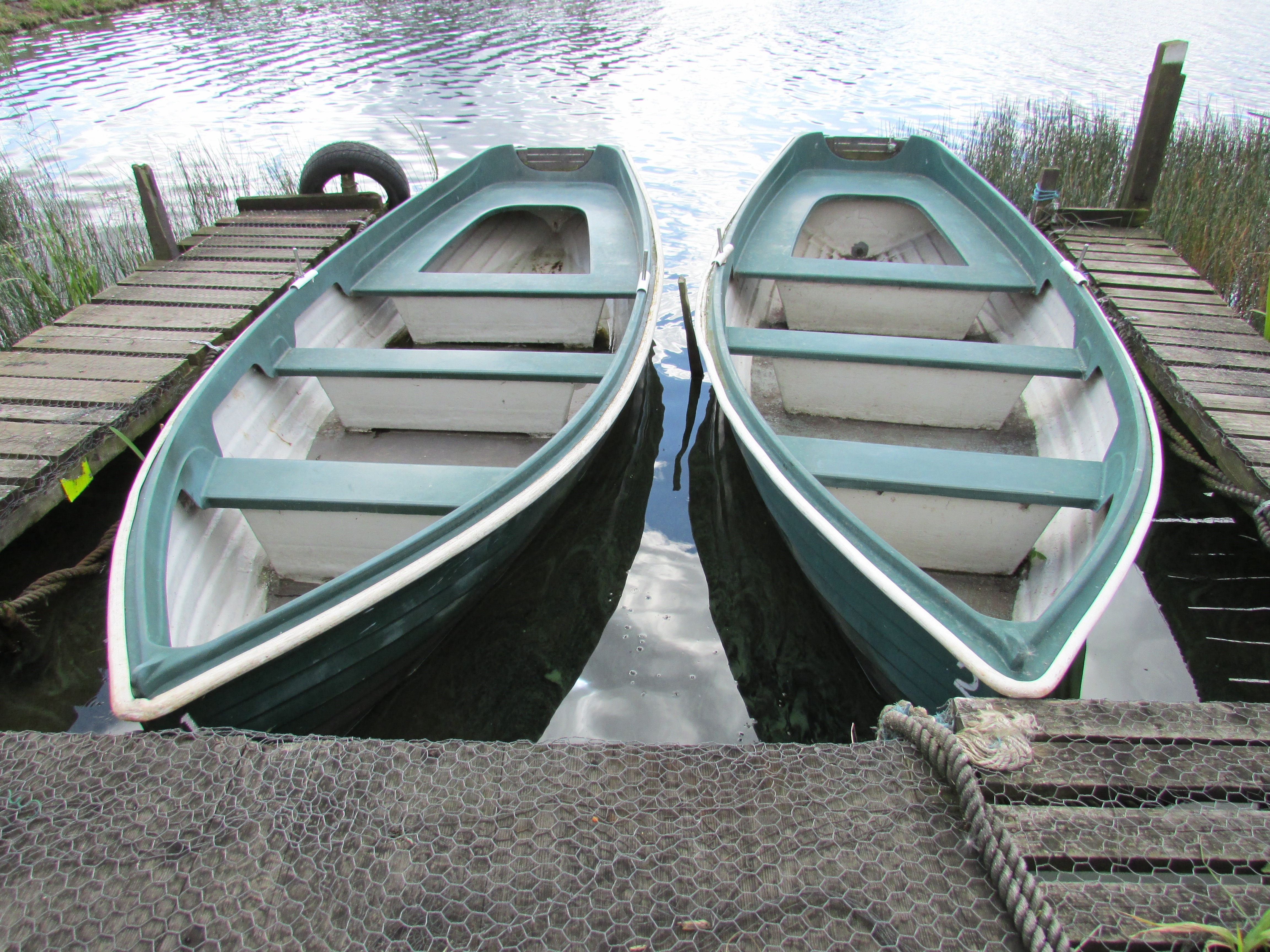 2 grey and white canoe