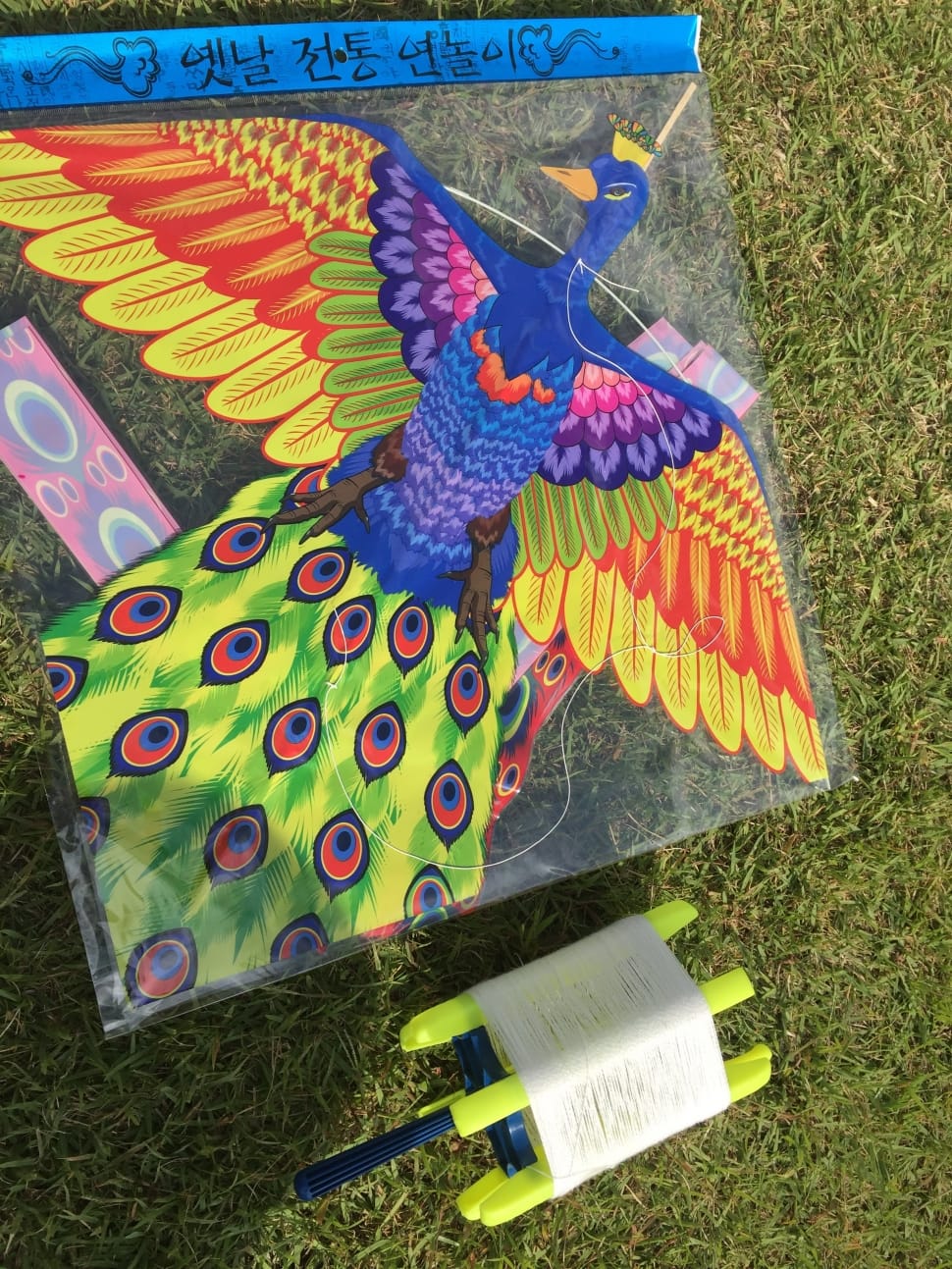 peacock kite preview