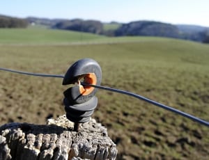 black and orange electrical part holding black wire during daytime thumbnail