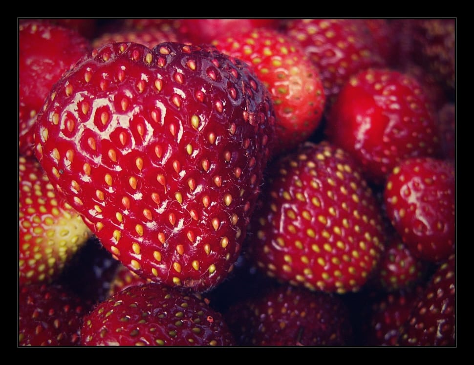 strawberry fruit lot preview