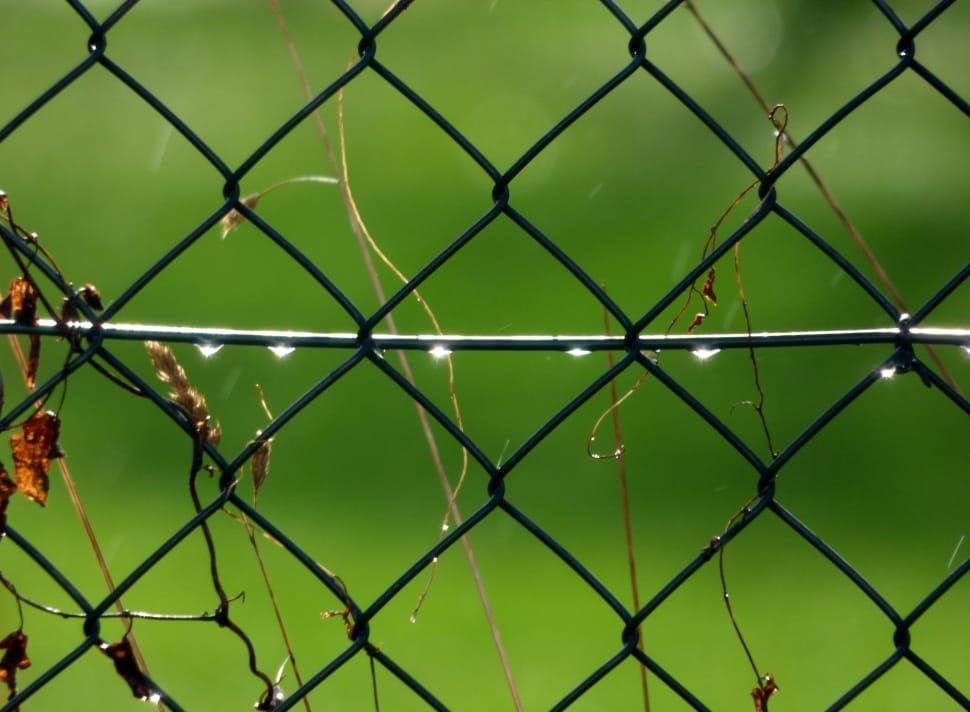 black cyclone net preview