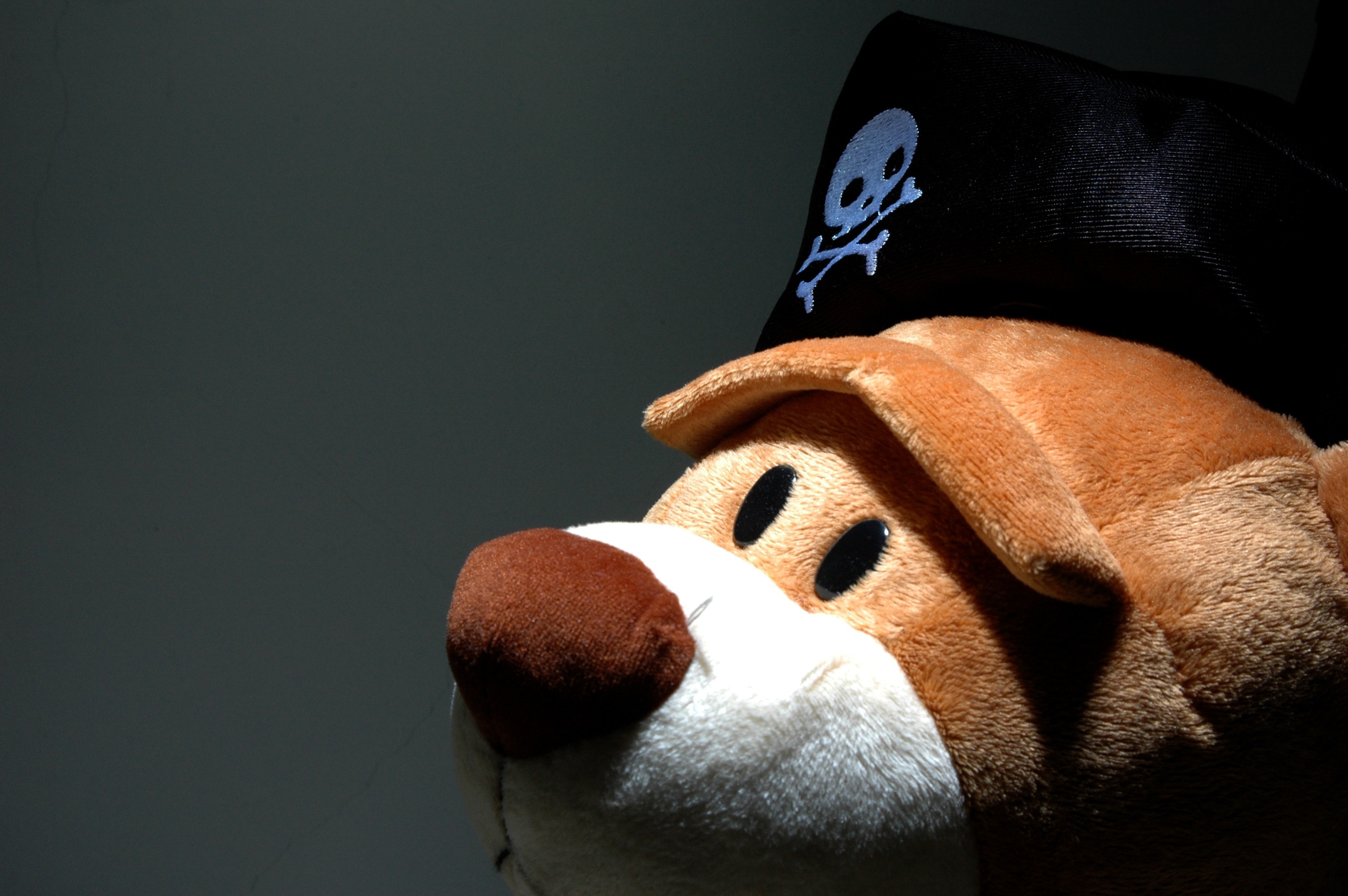 brown pirate bear plush toy